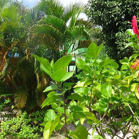 Hotel Posada Del Mar Fresh Water Bay 外观 照片