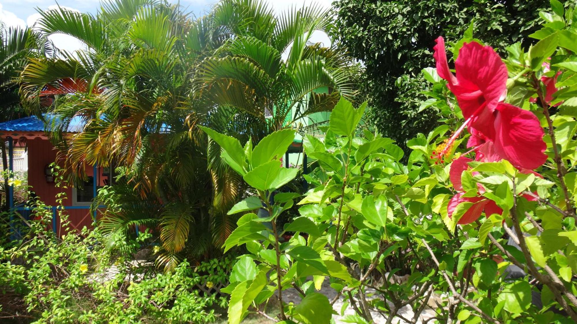 Hotel Posada Del Mar Fresh Water Bay 外观 照片